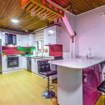 Denize Manzarali Oezel Havuzlu Ev Gameover Villa *